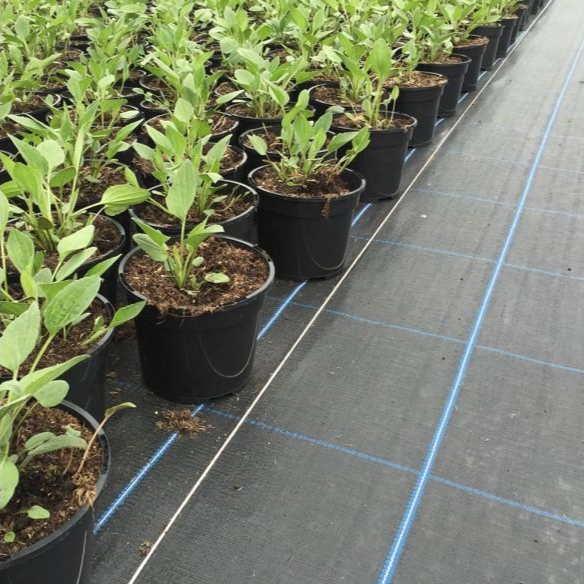 Cargar imagen en el visor de galería, Ground cover geotextile for preventing weed growth